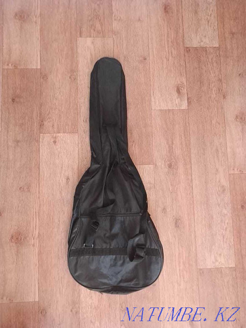 Case for electric guitar Petropavlovsk - photo 2