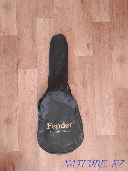 Case for electric guitar Petropavlovsk - photo 1