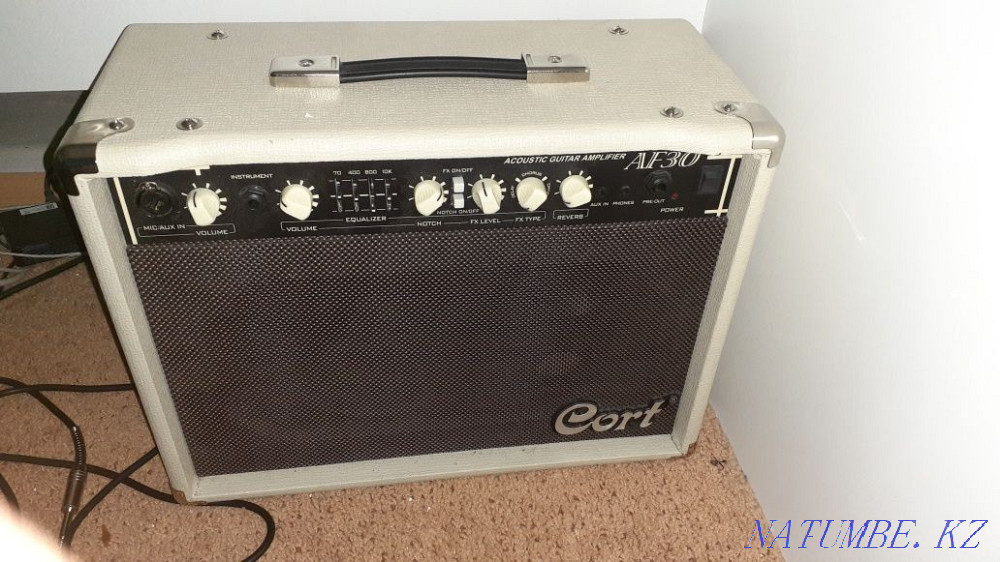 combo for electro acoustics Taraz - photo 1