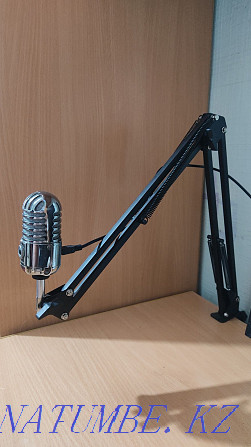 Studio Microphone with Arm Samson Metror Mic Kostanay - photo 2
