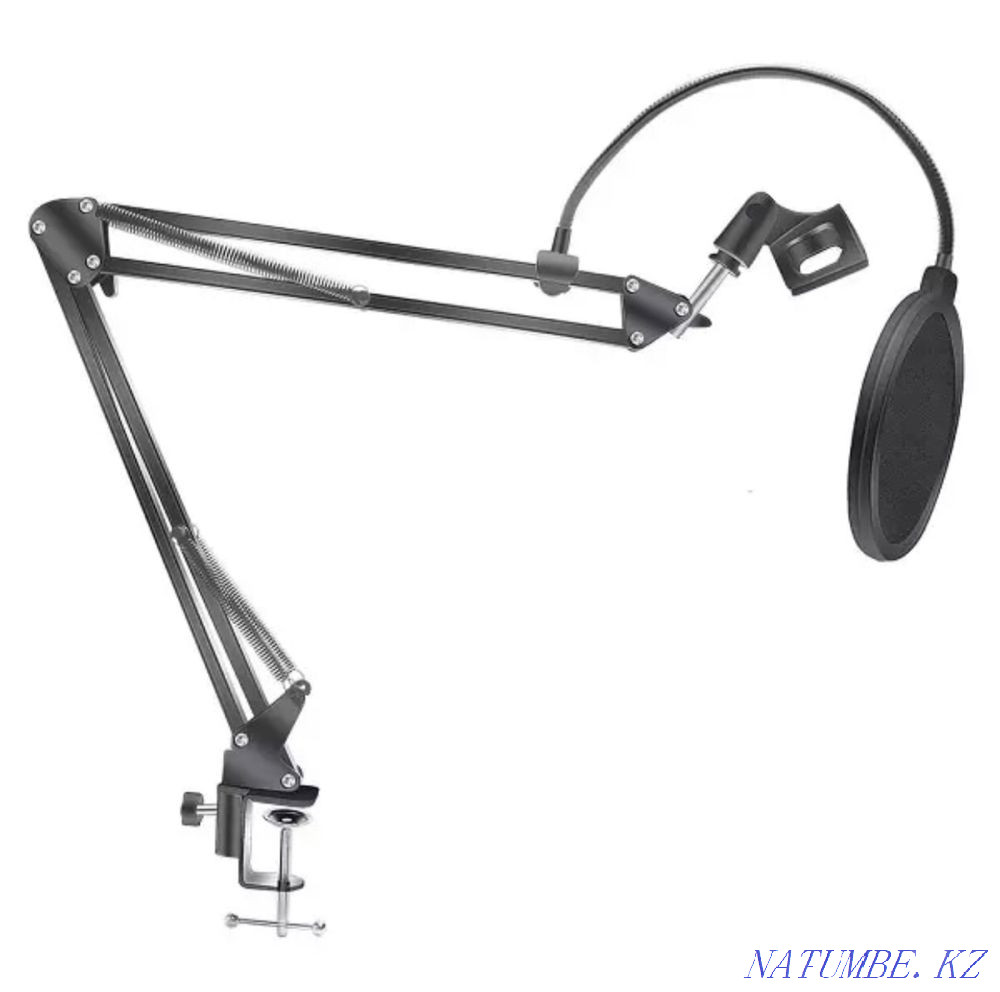 microphone stand/elbow Taraz - photo 1