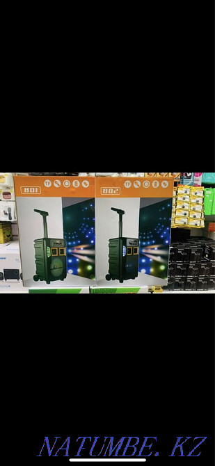 Karaoke microphone, bluetooth speaker, subwoofer, corporate party, presentation, holiday Ust-Kamenogorsk - photo 3