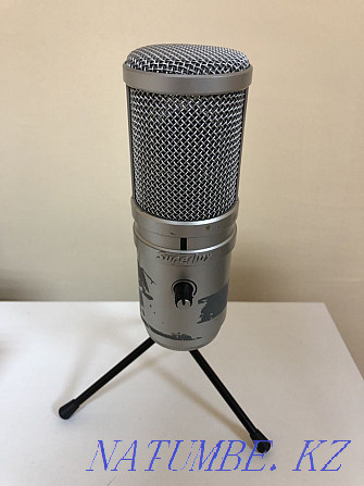 Microphone for recording Astana - photo 3