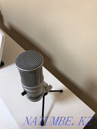 Microphone for recording Astana - photo 1