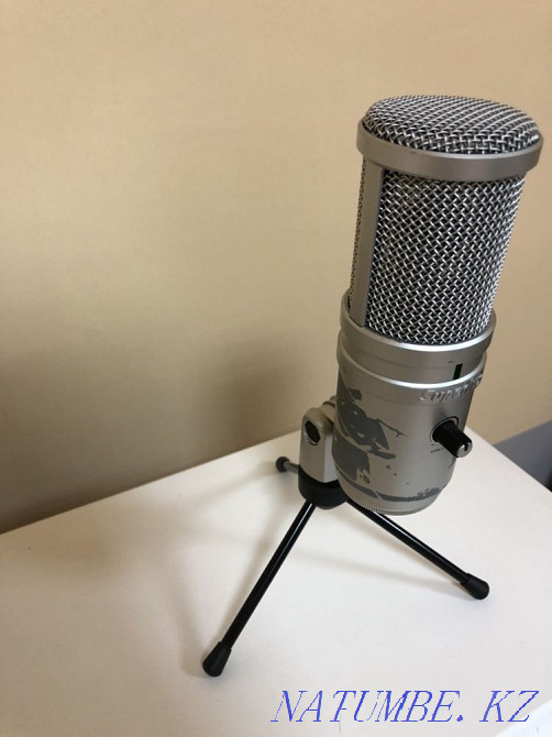 Микрофон для записи Астана - изображение 2