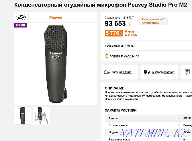 Студинный микрофон Конденсаторный микрофон PEAVEY Studio Pro M2 Шымкент - изображение 2