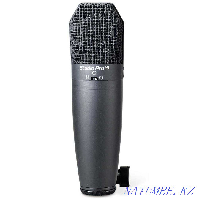 Студинный микрофон Конденсаторный микрофон PEAVEY Studio Pro M2 Шымкент - изображение 1