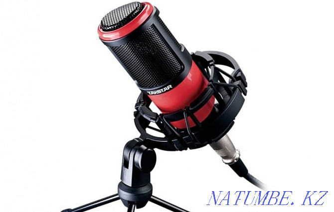 studio microphone Almaty - photo 1