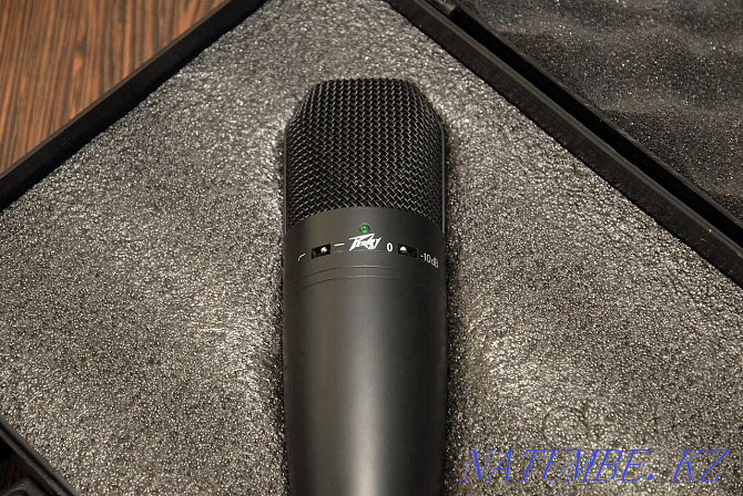 Studio Condenser Microphone Peavey Studio Pro M2 Kostanay - photo 1