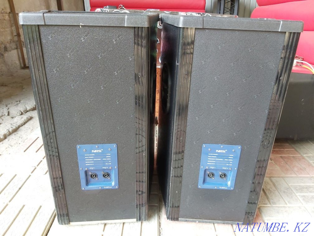 12 дюймдік динамиктерге арналған NRS динамик шкафтары  Алматы - изображение 2