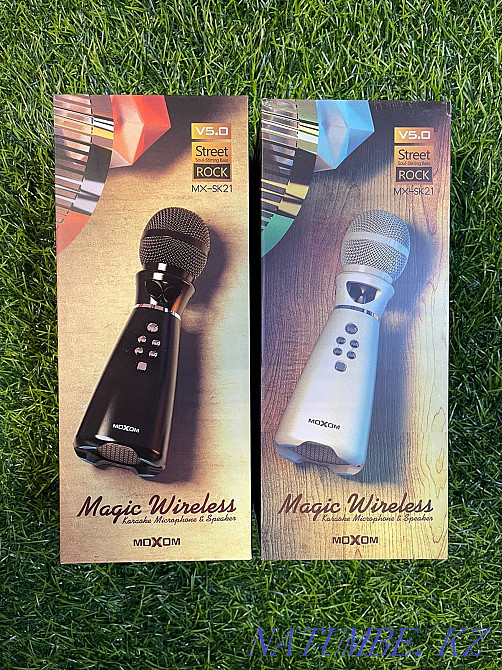 Karaoke microphone Aqtobe - photo 1