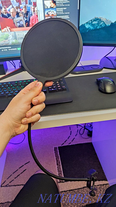 Попфильтр для микрофона Петропавловск - изображение 1