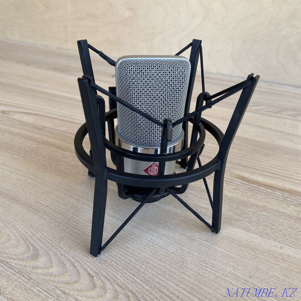 Neumann Tlm 102 studio microphone Shymkent - photo 4
