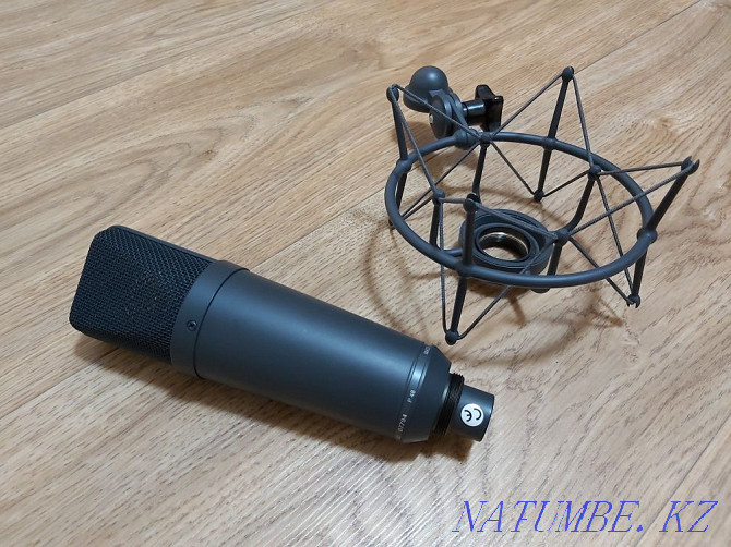 Студийный микрофон NEUMANN TLM-193 Алматы - изображение 2