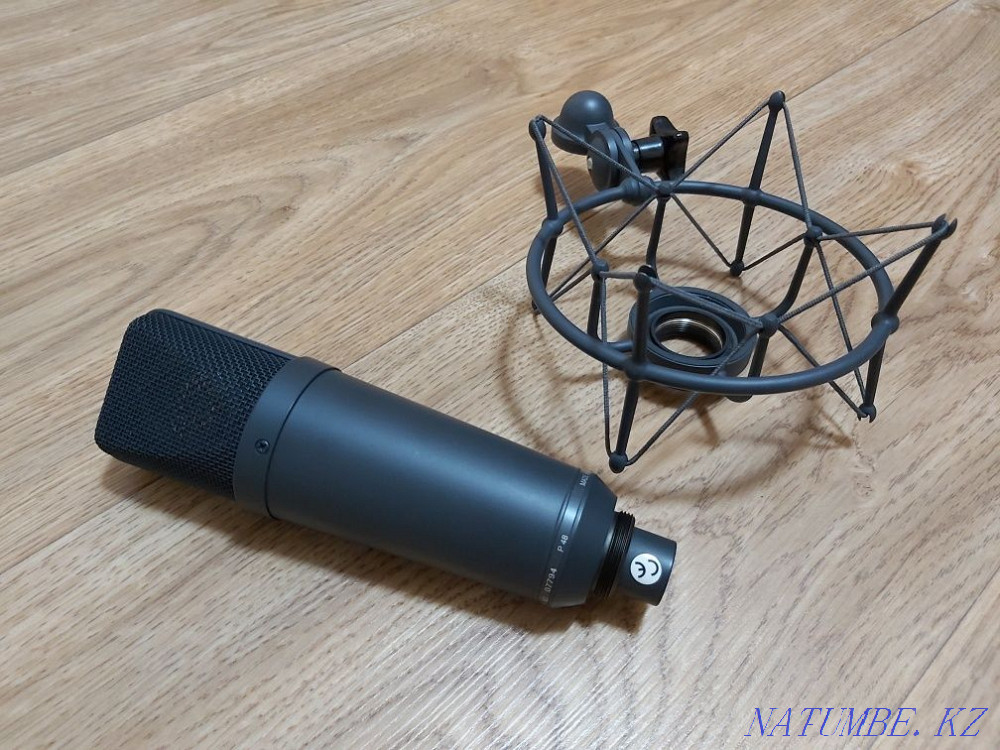 Студийный микрофон NEUMANN TLM-193 Алматы - изображение 2