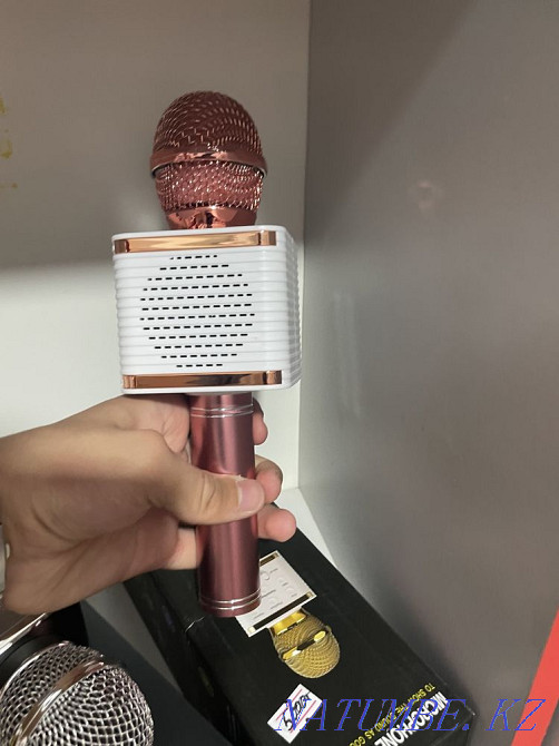 Microphones Балуана Шолака - photo 1