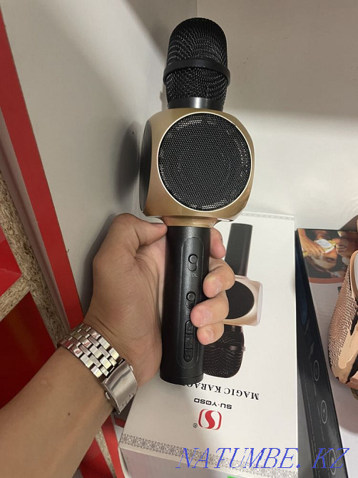 Microphones Балуана Шолака - photo 3