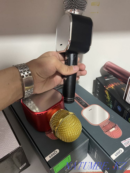 Microphones Балуана Шолака - photo 4