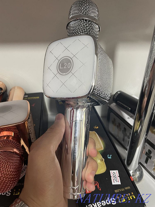 Microphones Балуана Шолака - photo 2