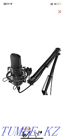 Microphone Ritmix RDM-169 black  - photo 1