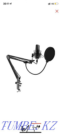 Microphone Ritmix RDM-169 black  - photo 2