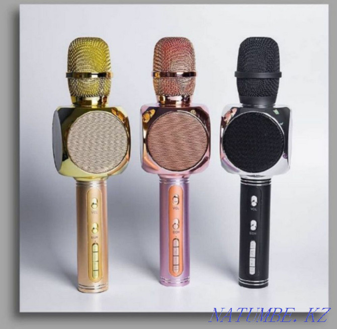 Karaoke Microphones in stock Astana - photo 4