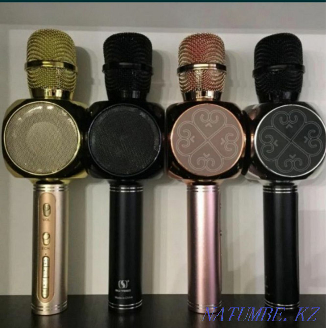 Караоке Микрофоны в наличии Астана - изображение 2