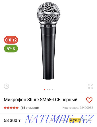 Sound card and professional microphone Petropavlovsk - photo 1