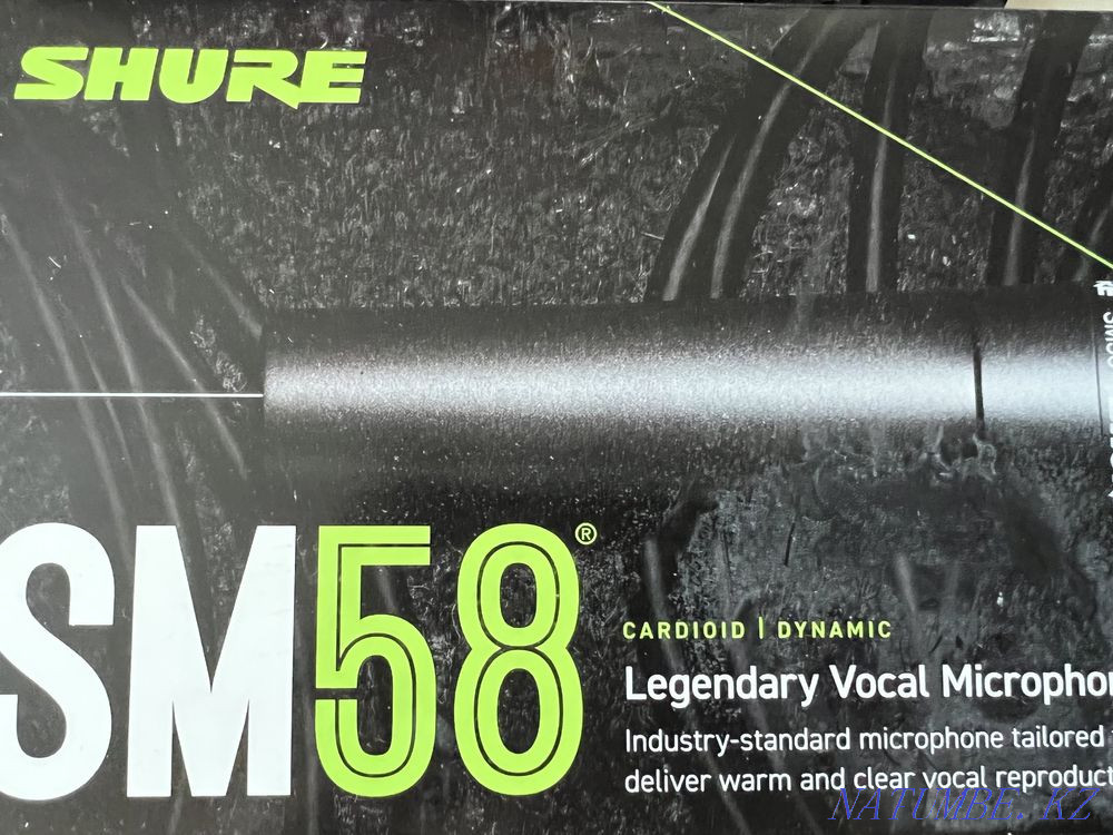 Sound card and professional microphone Petropavlovsk - photo 3