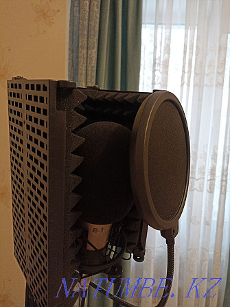 Микрофон для диктора Астана - изображение 4