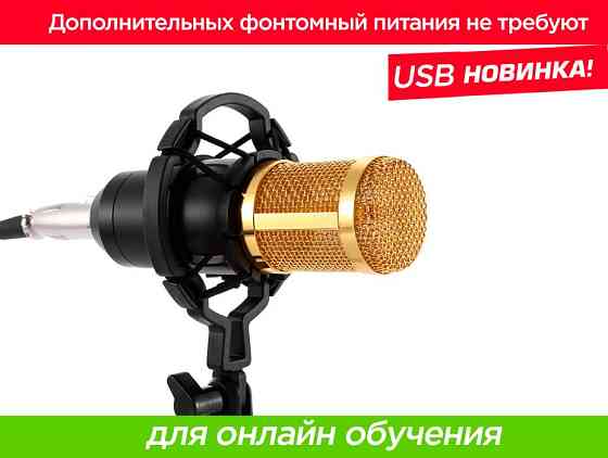 Конденсаторный микрофон ZEEPIN BM-800 Ведения блога Youtube и стрима  Алматы