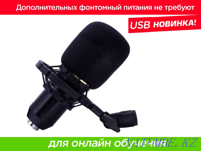 ZEEPIN BM-800 конденсатор микрофоны Youtube блогын жазу және ағынмен жіберу  Алматы - изображение 2