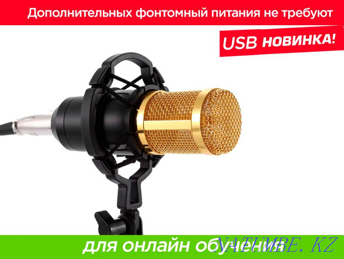 ZEEPIN BM-800 конденсатор микрофоны Youtube блогын жазу және ағынмен жіберу  Алматы - изображение 3