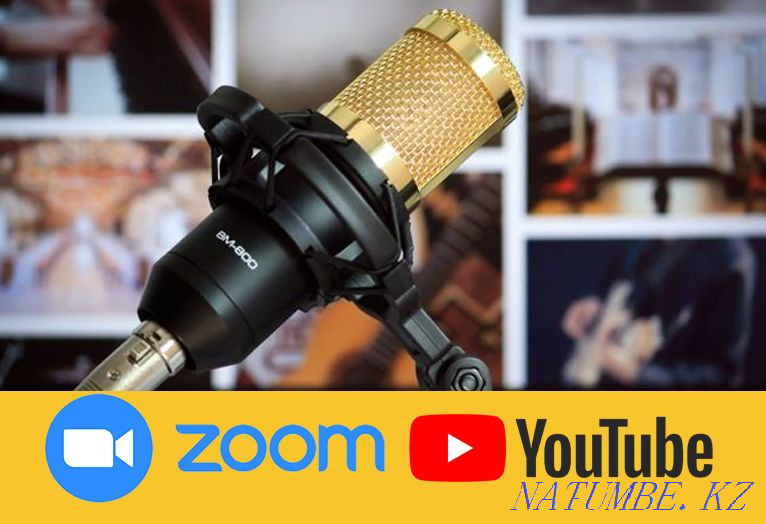 ZEEPIN BM-800 Condenser Microphone Youtube Blogging and Streaming Almaty - photo 1