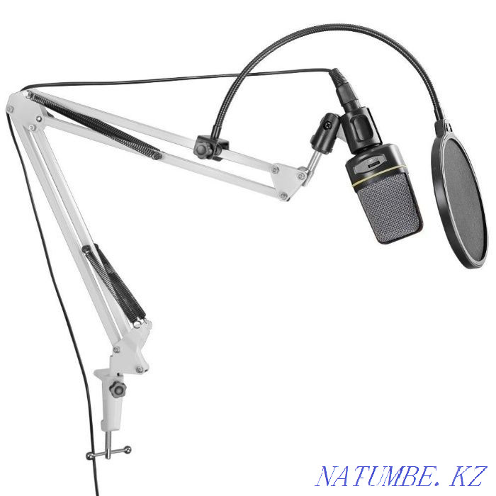 Үстелге арналған МИКРОФОН ТҰРЫҒЫ, СТУДИЯ үшін пантограф  Алматы - изображение 1