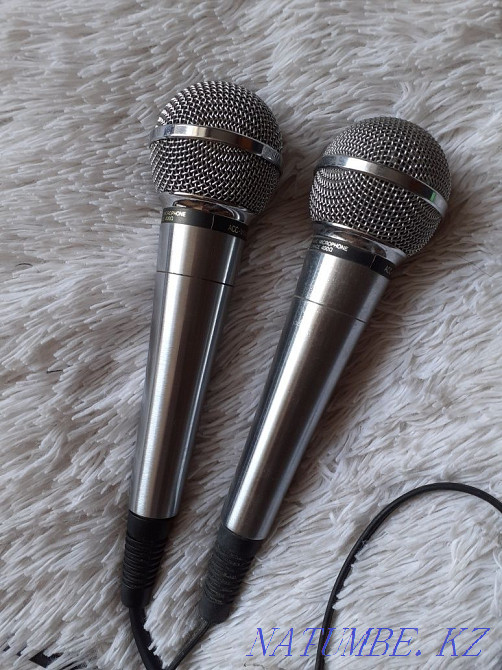 Microphone two pieces. Shahtinsk - photo 1
