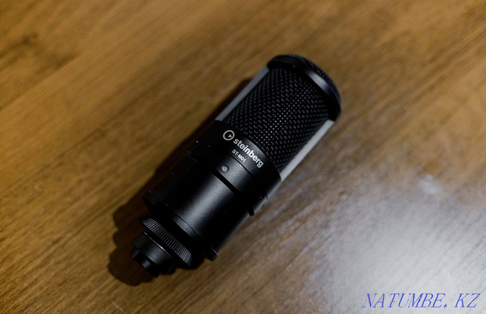 Steinberg UR22 MK2 Жазу жинағы  Алматы - изображение 3