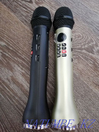 Bluetooth Karaoke Microphone L598 Petropavlovsk - photo 5
