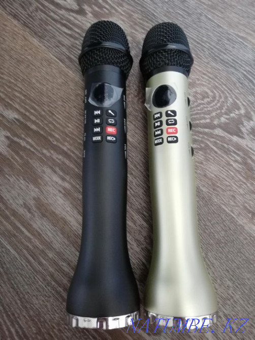 Bluetooth Karaoke Microphone L598 Petropavlovsk - photo 3