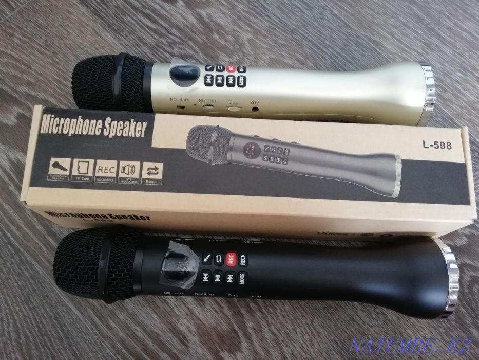 Bluetooth Karaoke Microphone L598 Petropavlovsk - photo 2