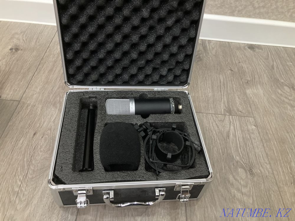 Микрофон  Астана - изображение 3