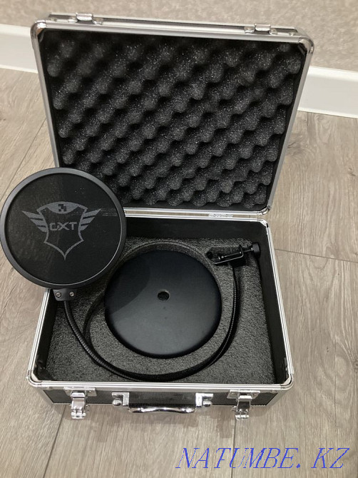 Микрофон  Астана - изображение 4