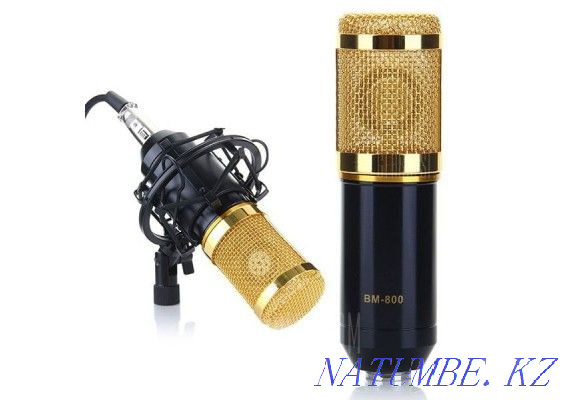 Studio Condenser Microphone BM800 Kit. Free shipping Almaty - photo 2