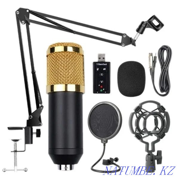Studio Condenser Microphone BM800 Kit. Free shipping Almaty - photo 1