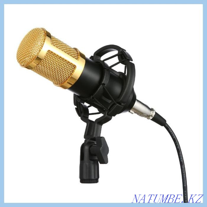 Studio Condenser Microphone BM800 Kit. Free shipping Almaty - photo 5