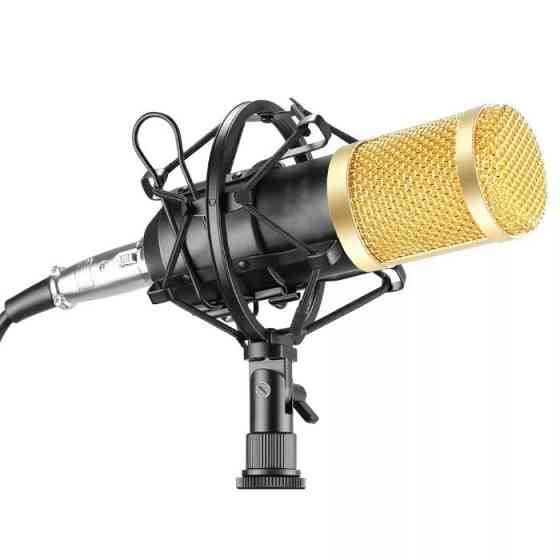 Студийный микрофон Zeepin БМ800 BM800 Костанай