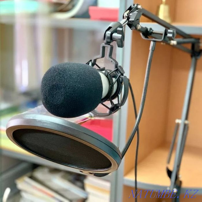 Студийный микрофон Zeepin БМ800 BM800 Костанай - изображение 3