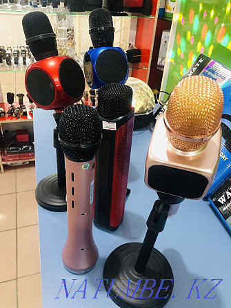 Микрофон  Тараз  - изображение 3