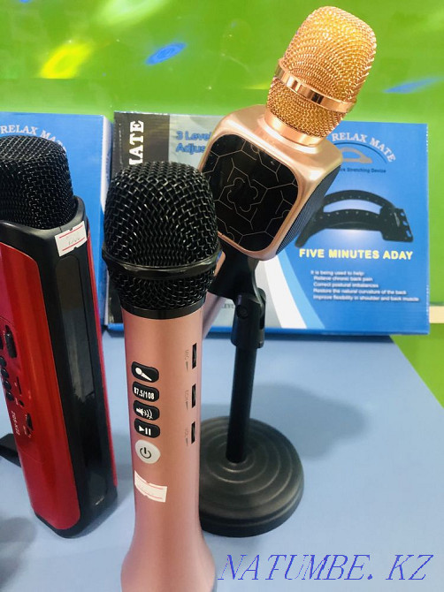 Микрофон Тараз - изображение 2