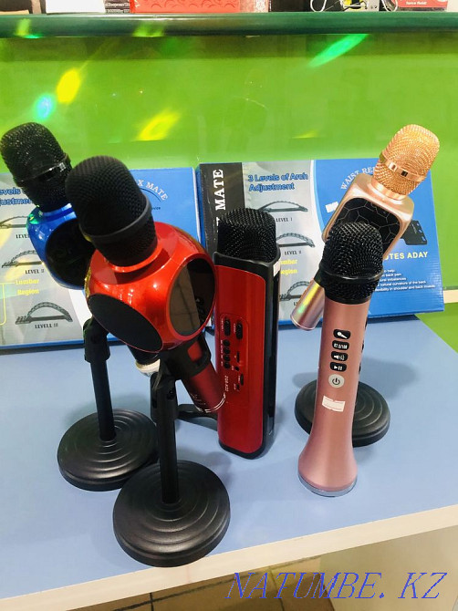 Микрофон Тараз - изображение 1